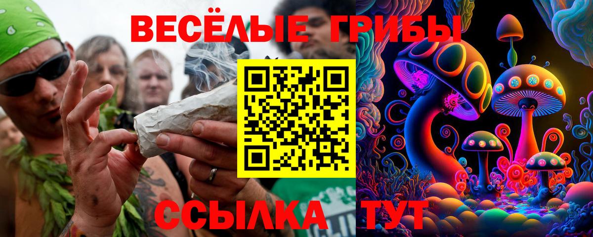 Псилоцибиновые грибы прущие грибы Десногорск