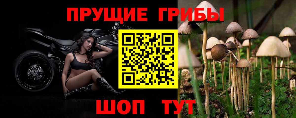 Псилоцибиновые грибы прущие грибы  Вход с VPN  Галлюциногенные грибы MAGIC MUSHROOMS  Десногорск 